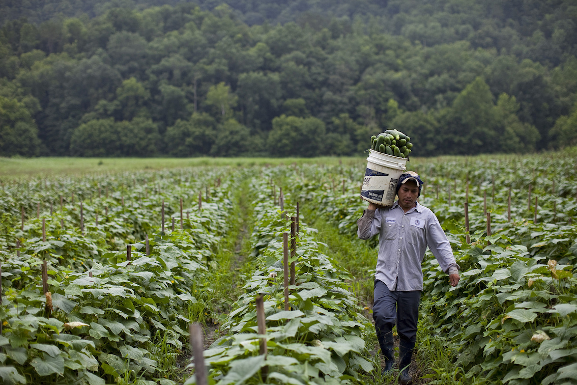 Workers Rights Really Are Human Rights OpenGlobalRights